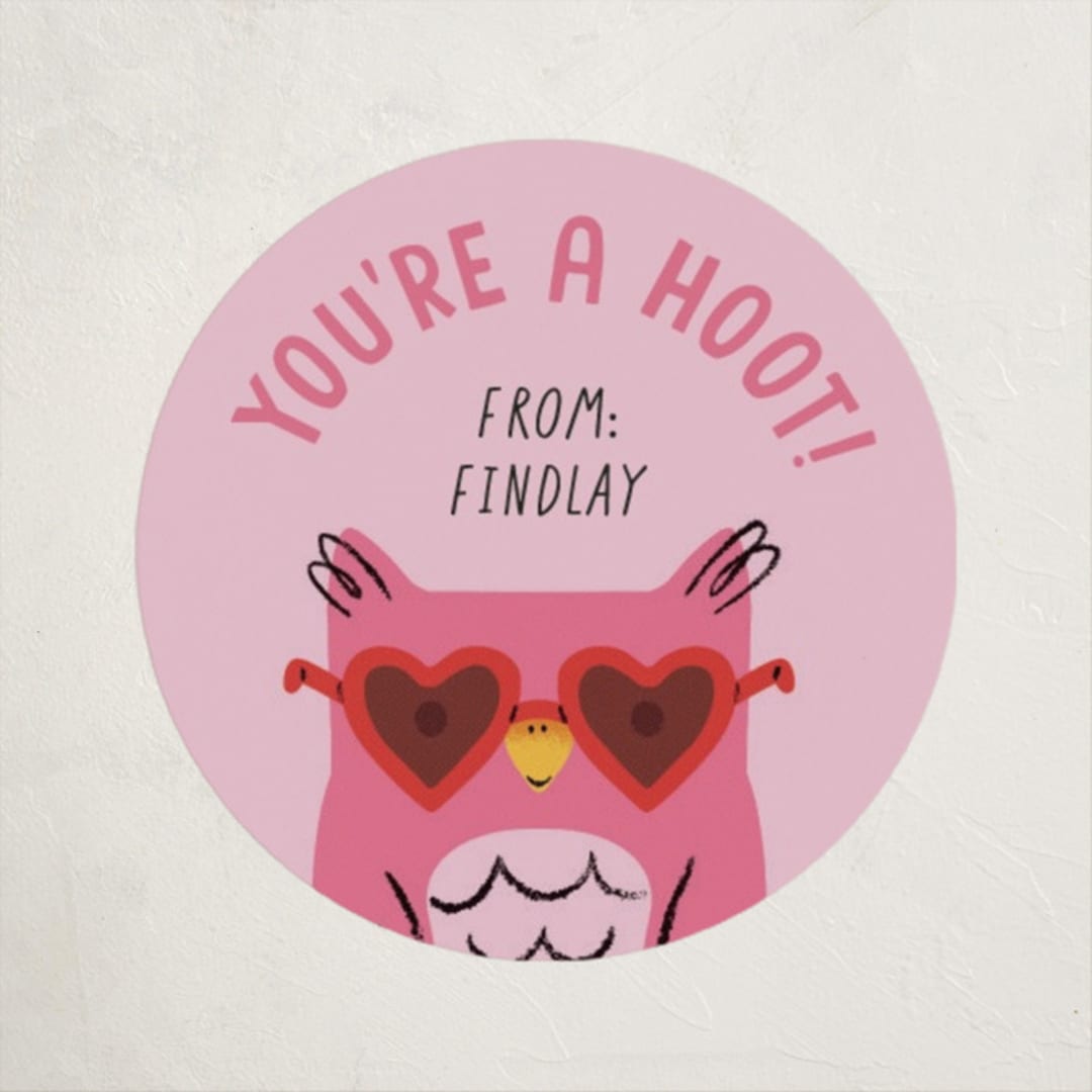 "Owl Be Your Pal" - Custom Stickers in Pinky by mo kelley - Front