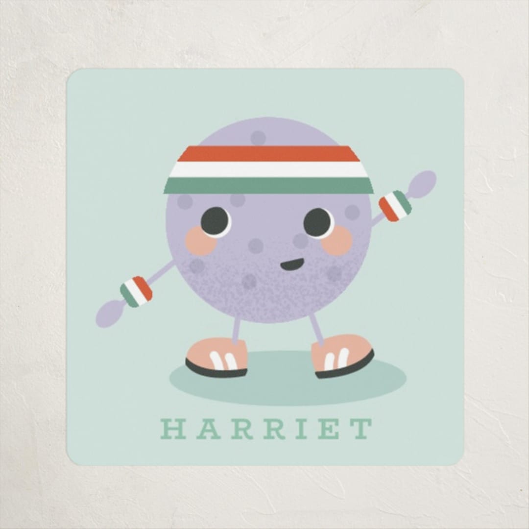 "Pickle Ball" - Custom Stickers in Mint by Hudson meet Rose - Front