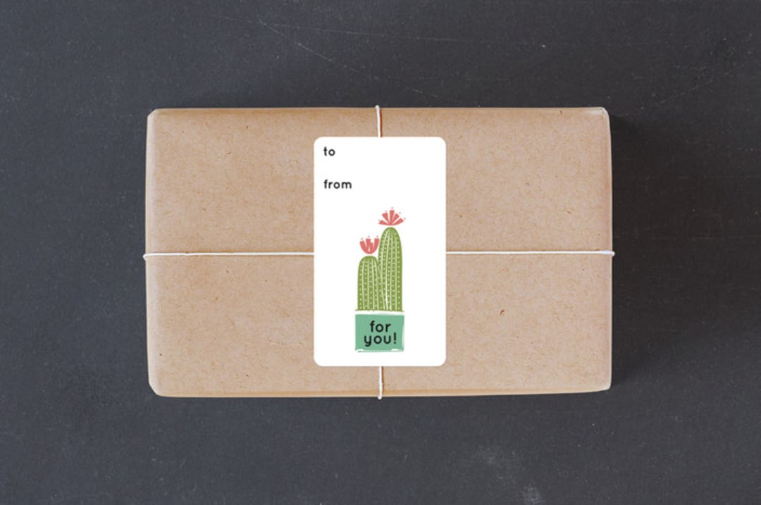 "Cacti Collection" - Custom Stickers in Tangerine by Rae Kaiser - Front