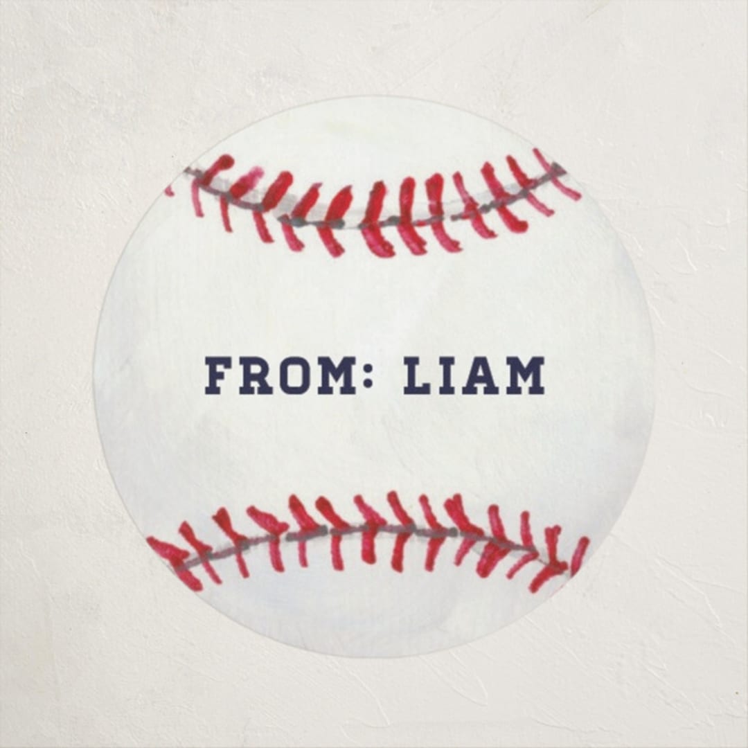 "Painted Baseball" - Custom Stickers in Slate by Holly Whitcomb - Front