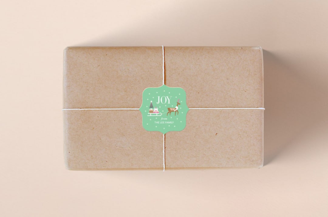 "Christmas Delivery" - Custom Stickers in Mint by Chi Hey Lee - Front