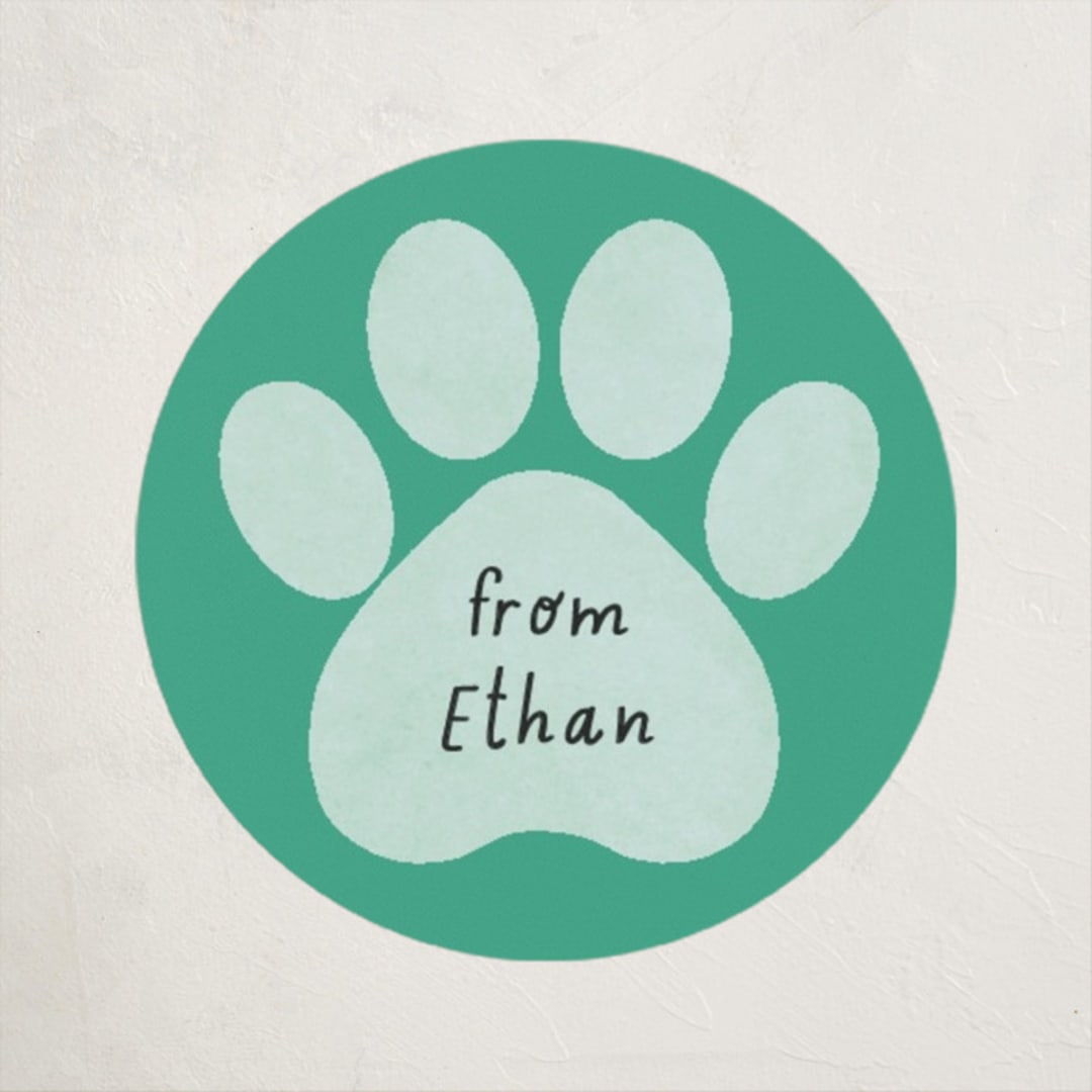 "Pawsitively Awesome" - Custom Stickers in Seafoam by Randi Cirelli - Front