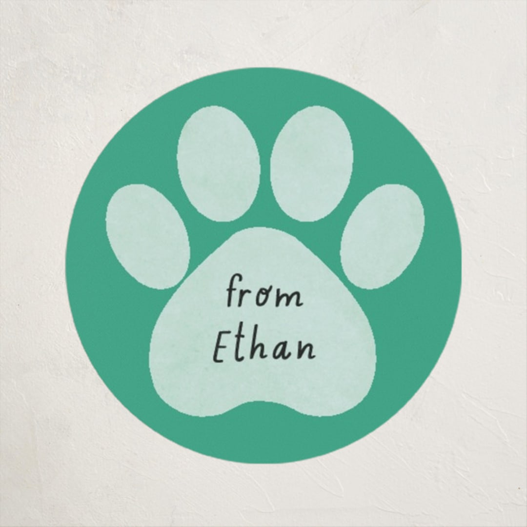 "Pawsitively Awesome" - Custom Stickers in Seafoam by Randi Cirelli - Front