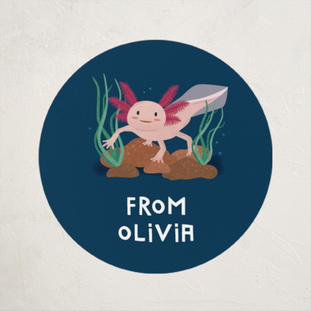 "A'Lotl" - Custom Stickers in Fresh Water by Erica Krystek - Front