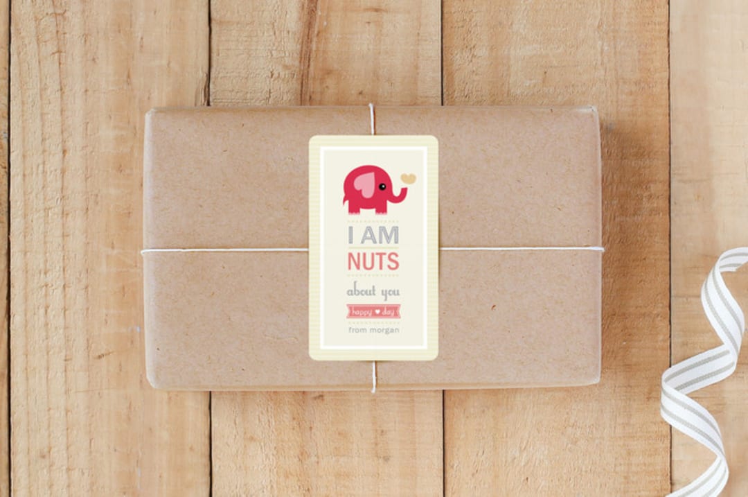 "Nutty Elephant" - Custom Stickers in Candy Pink by Oma N. Ramkhelawan - Front