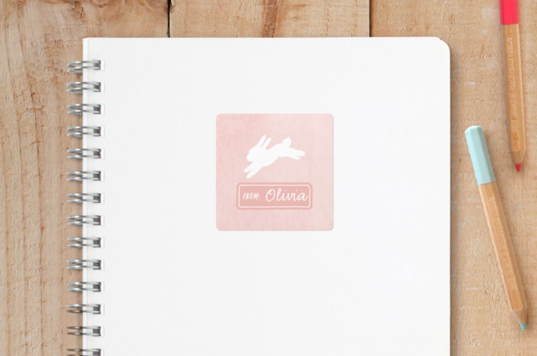 "Running Bunnies" - Custom Stickers in Salmon by Hooray Creative - Front