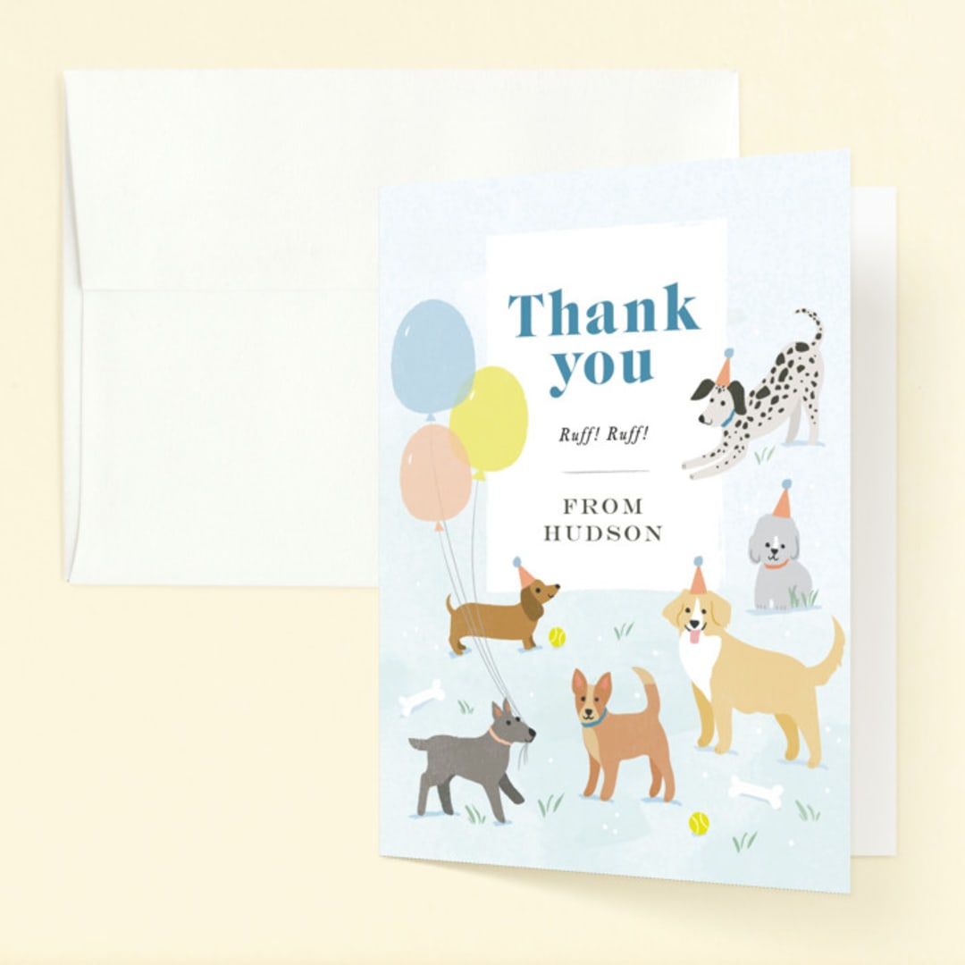 "pawty time" - Children's Birthday Party Thank You Cards in Sky by Karidy Walker - Front