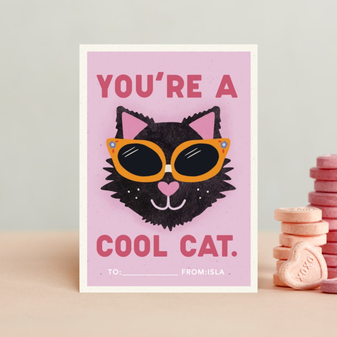 You're a cool cat.