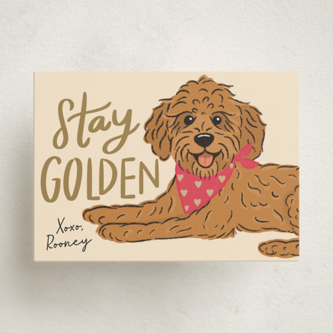 "Stay Golden" - Classroom Valentines in Bubblegum by Lauren Jinhee - Front