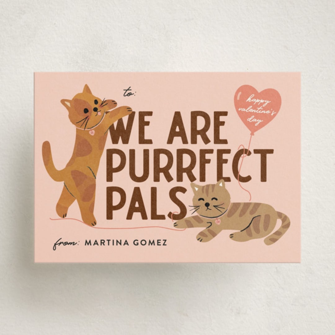 "purrfect pals" - Classroom Valentines in Peach by Jennifer Lew - Front