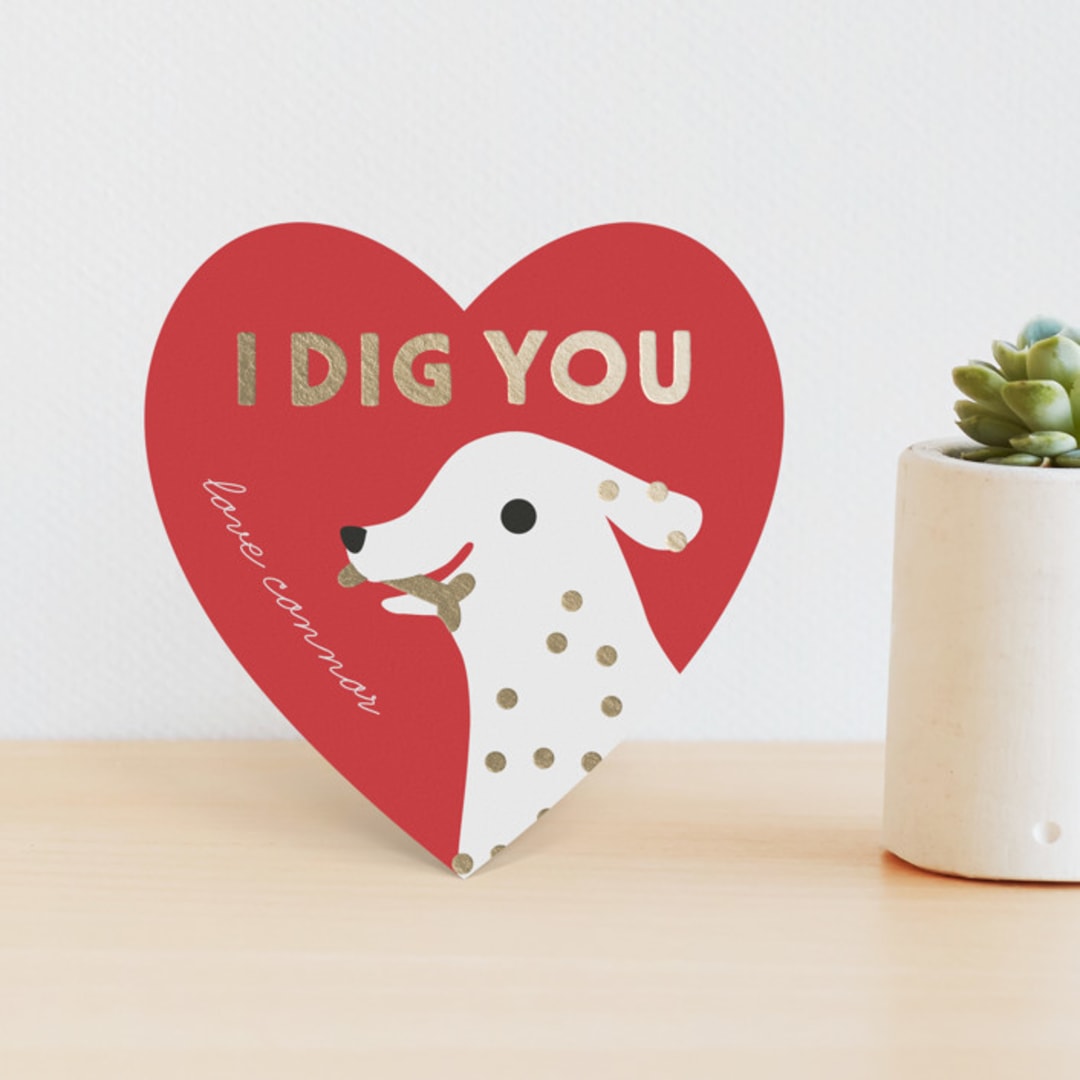 Dig you