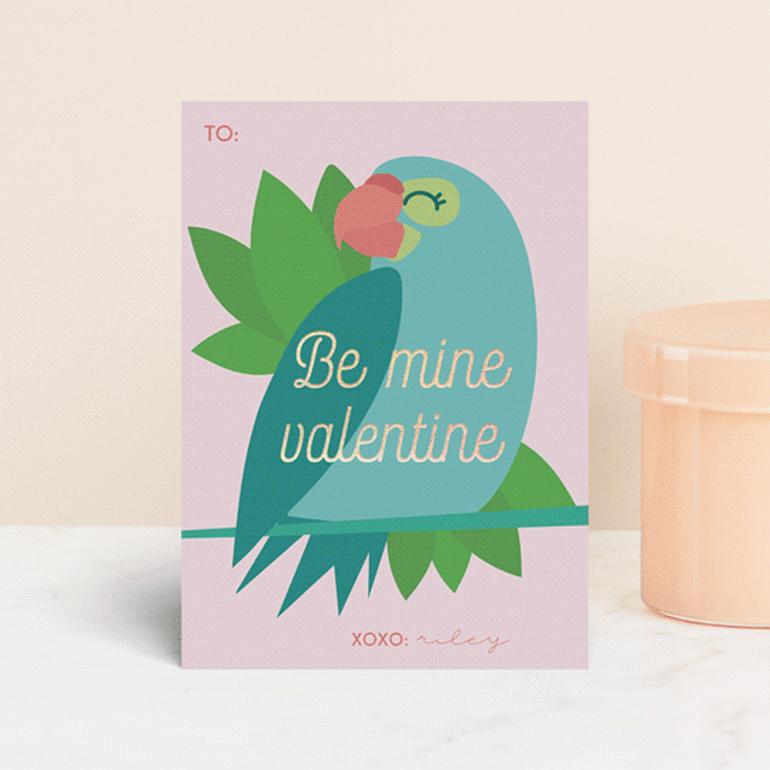 Bird Love