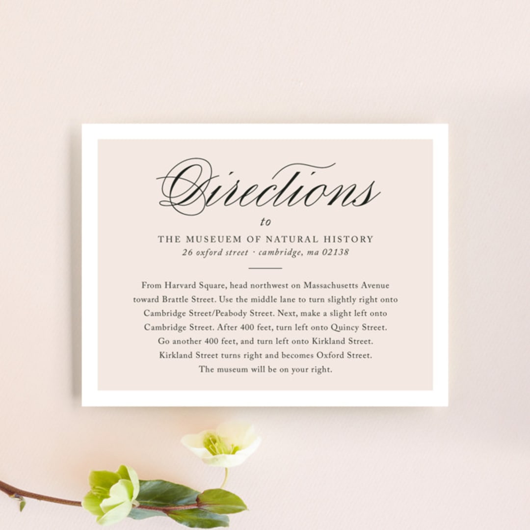 "Darling and Dashing" - Direction Cards in Blush by Alston Foster - Front