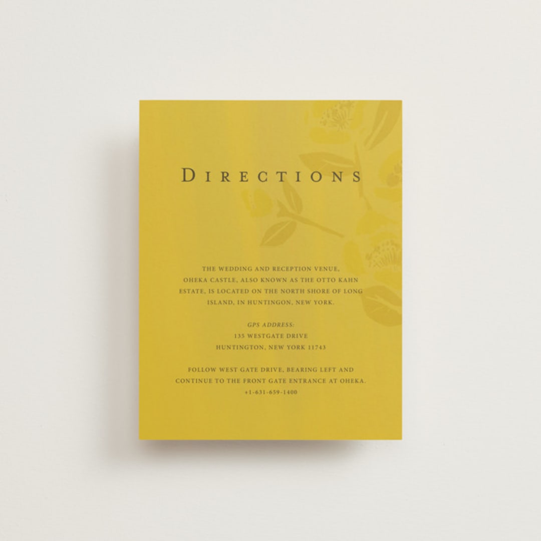 "Sophia" - Direction Cards in Sunshine by Ani Somi - Front