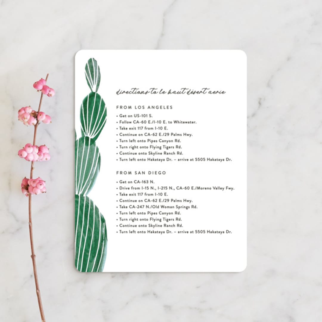 "Painted Cacti" - Direction Cards in Cactus by Olivia Raufman - Front