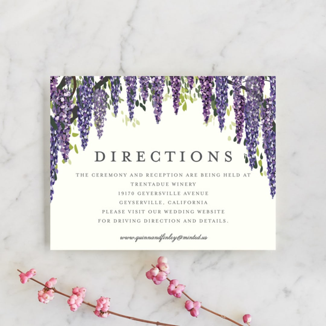 Wisteria Blooms