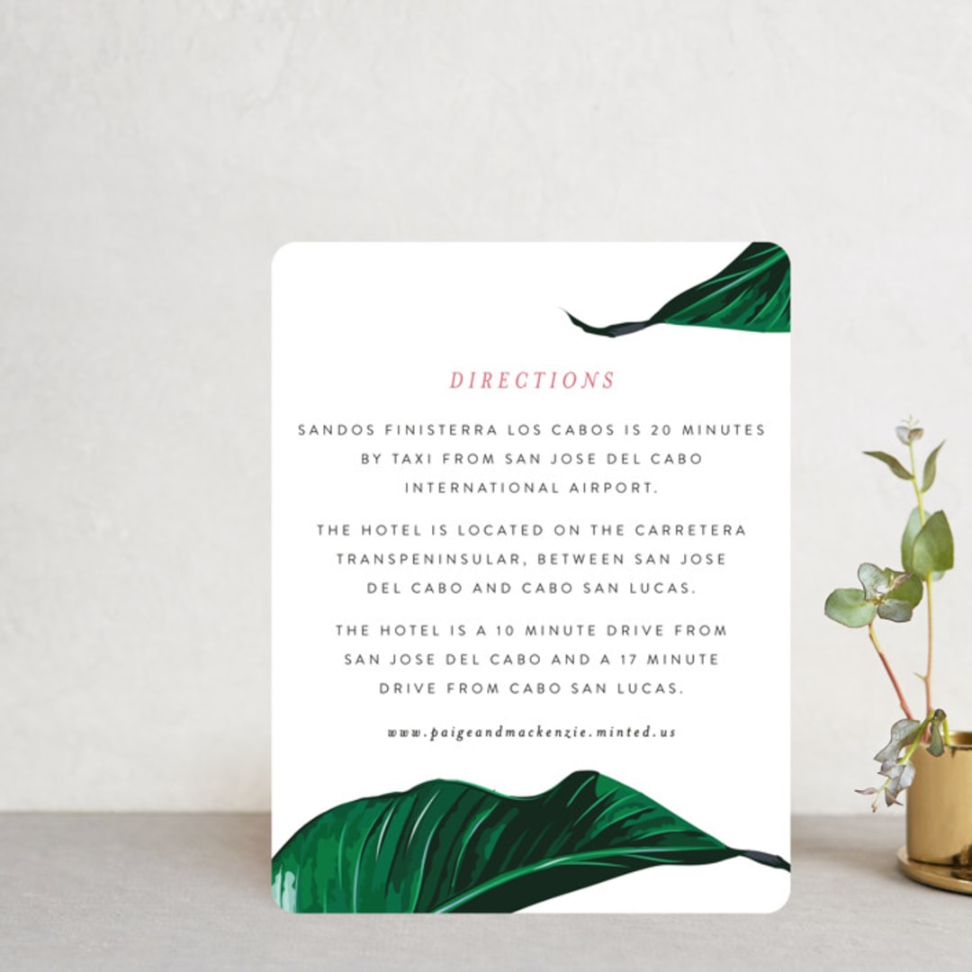 "Mod Palm" - Direction Cards in Pearl by Erin Hodges - Front