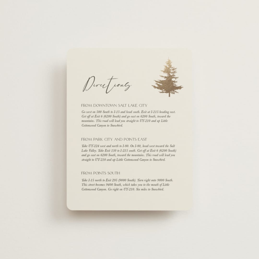 "Vista" - Direction Cards in Fallen Snow by Robin Ott - Front