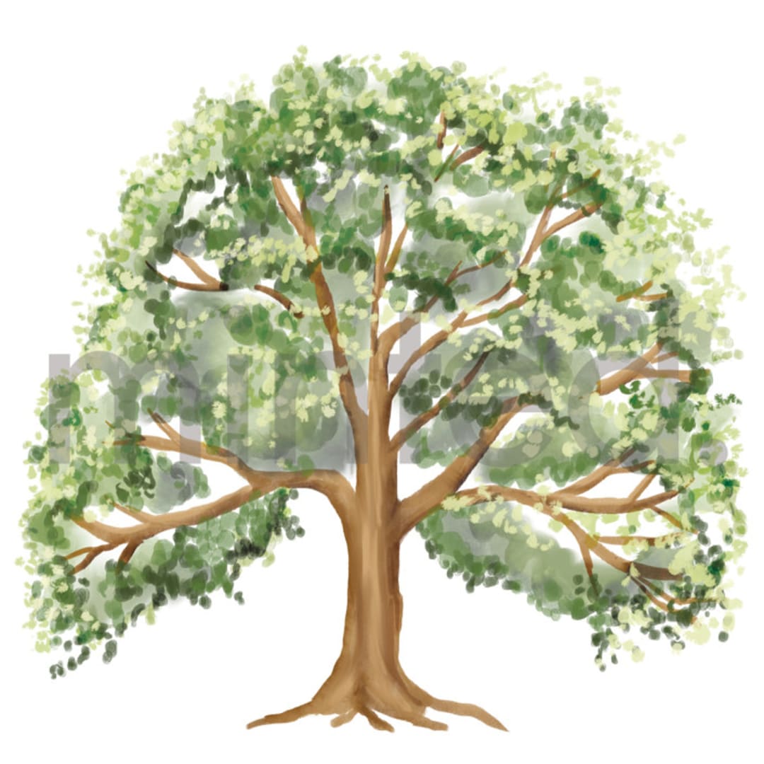 "Oak Tree" - Design Element in Leaf by Petra Kern - Design Element