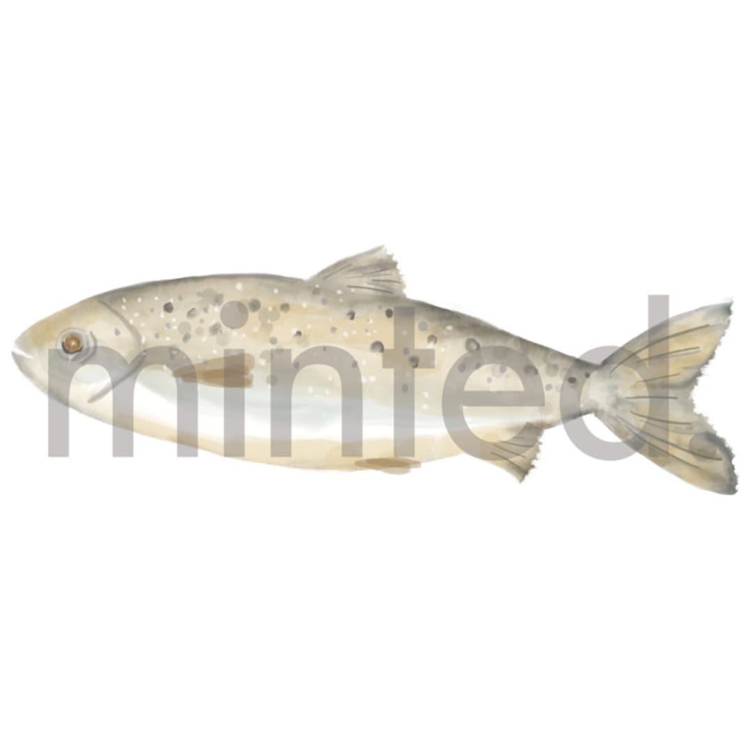 "fish" - Design Element in Fog by Petra Kern - Design Element