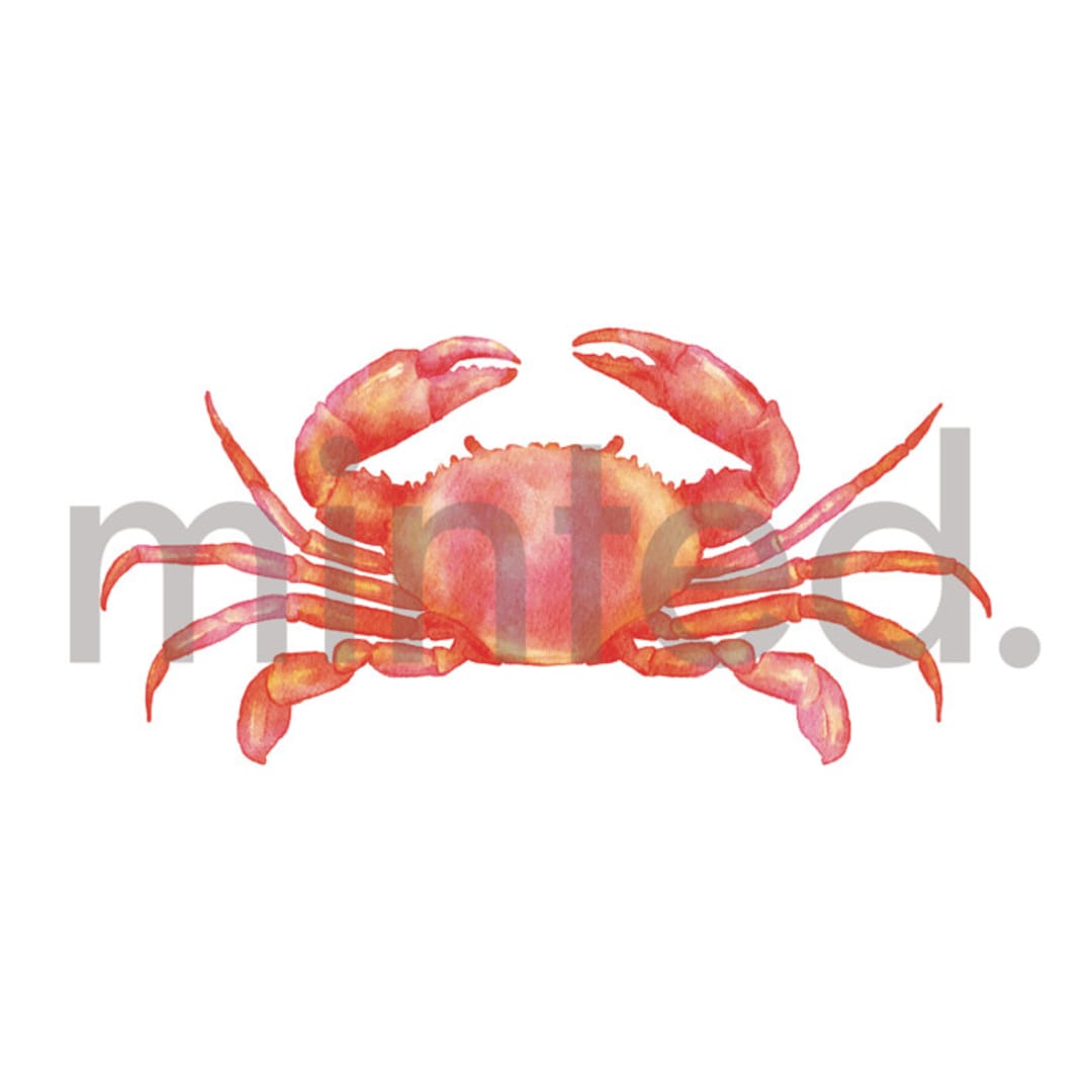 "Crab" - Design Element in Poppy by Elly - Design Element