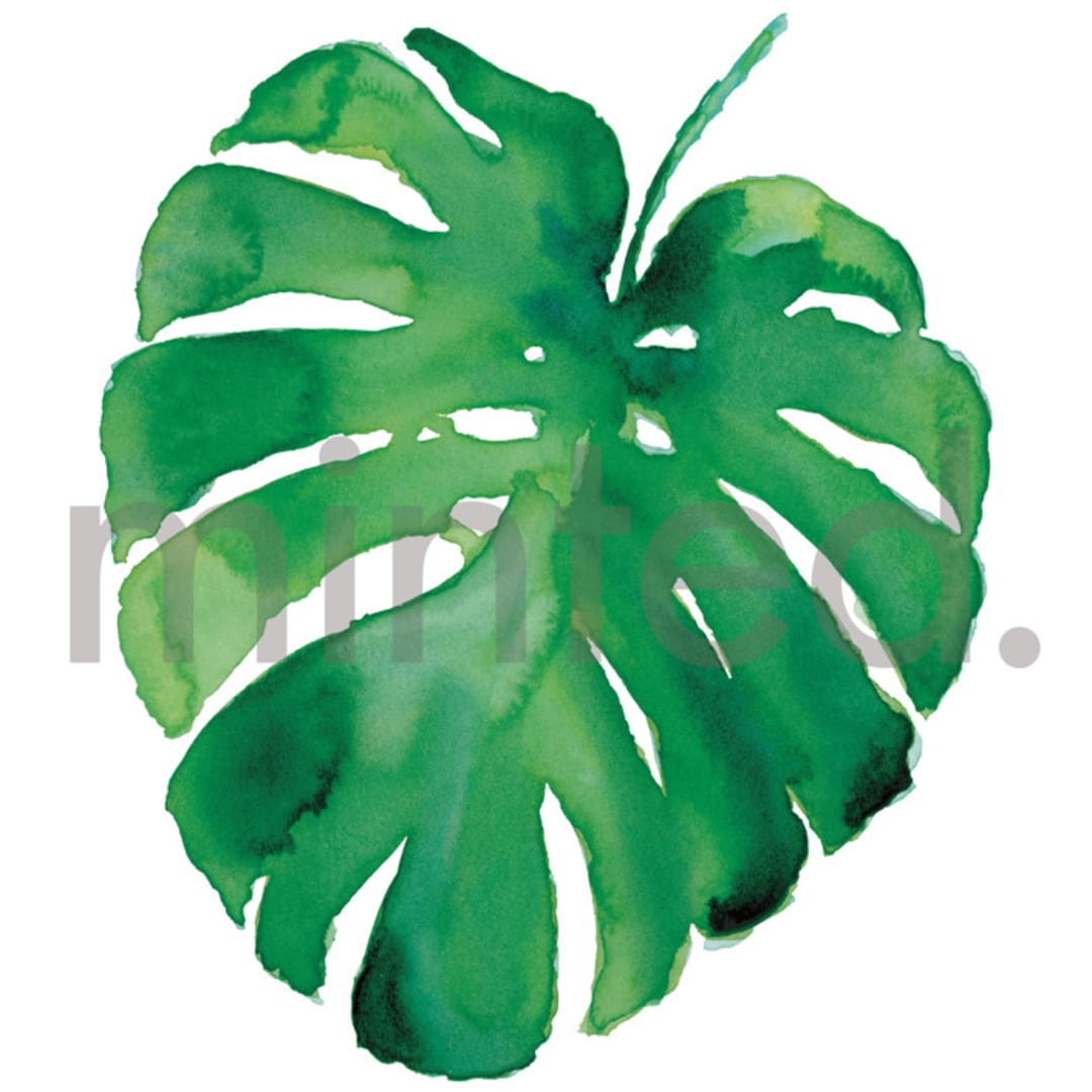 "Monstera" - Design Element in Palm by Jenna Holcomb - Design Element