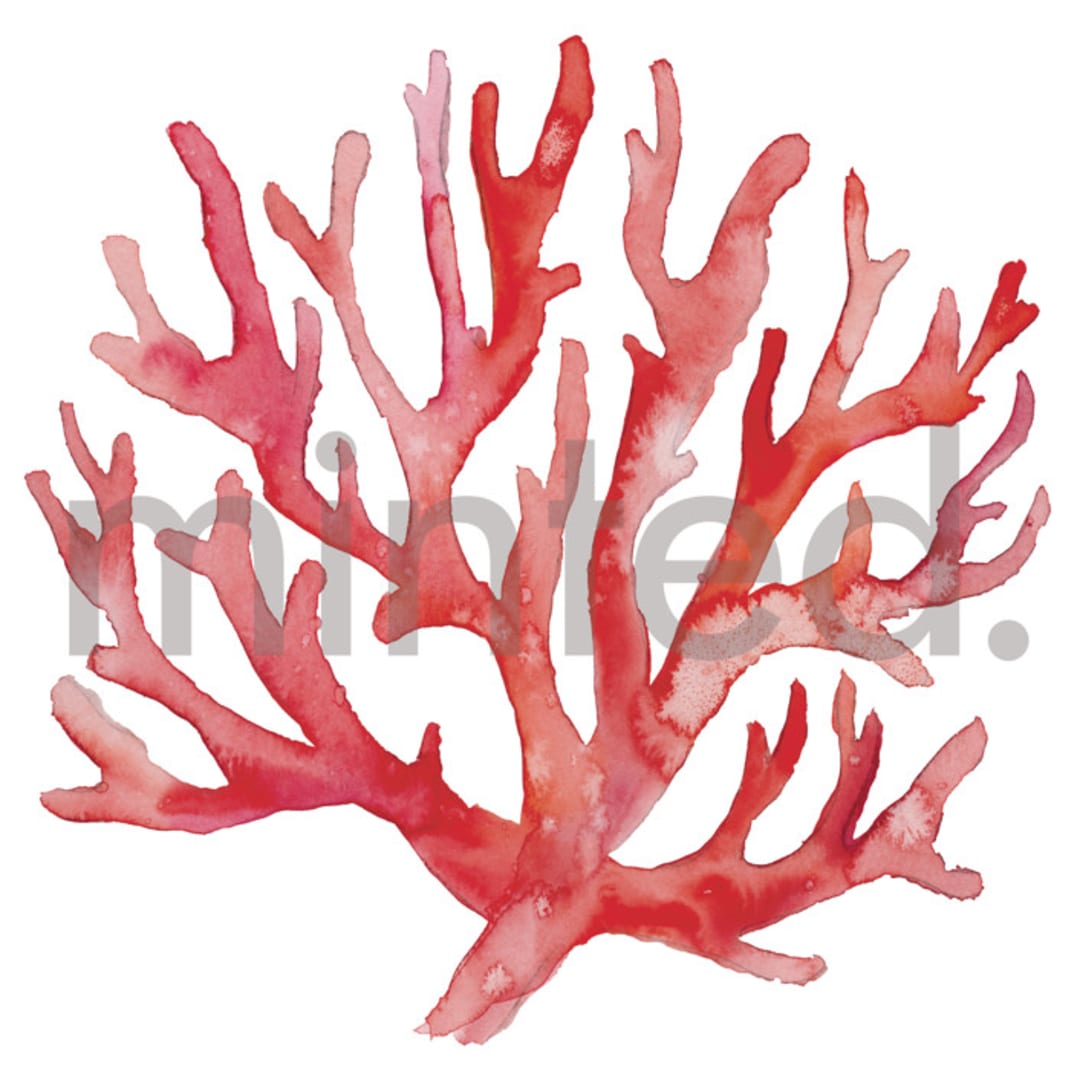 "Coral" - Design Element in Coral by Jenna Holcomb - Design Element
