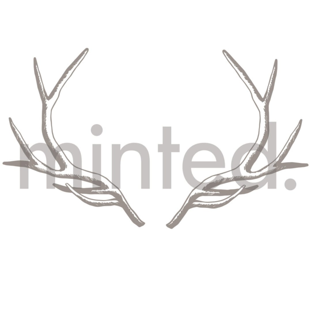 "Elk Antler" - Design Element in Graphite by Alethea and Ruth - Design Element