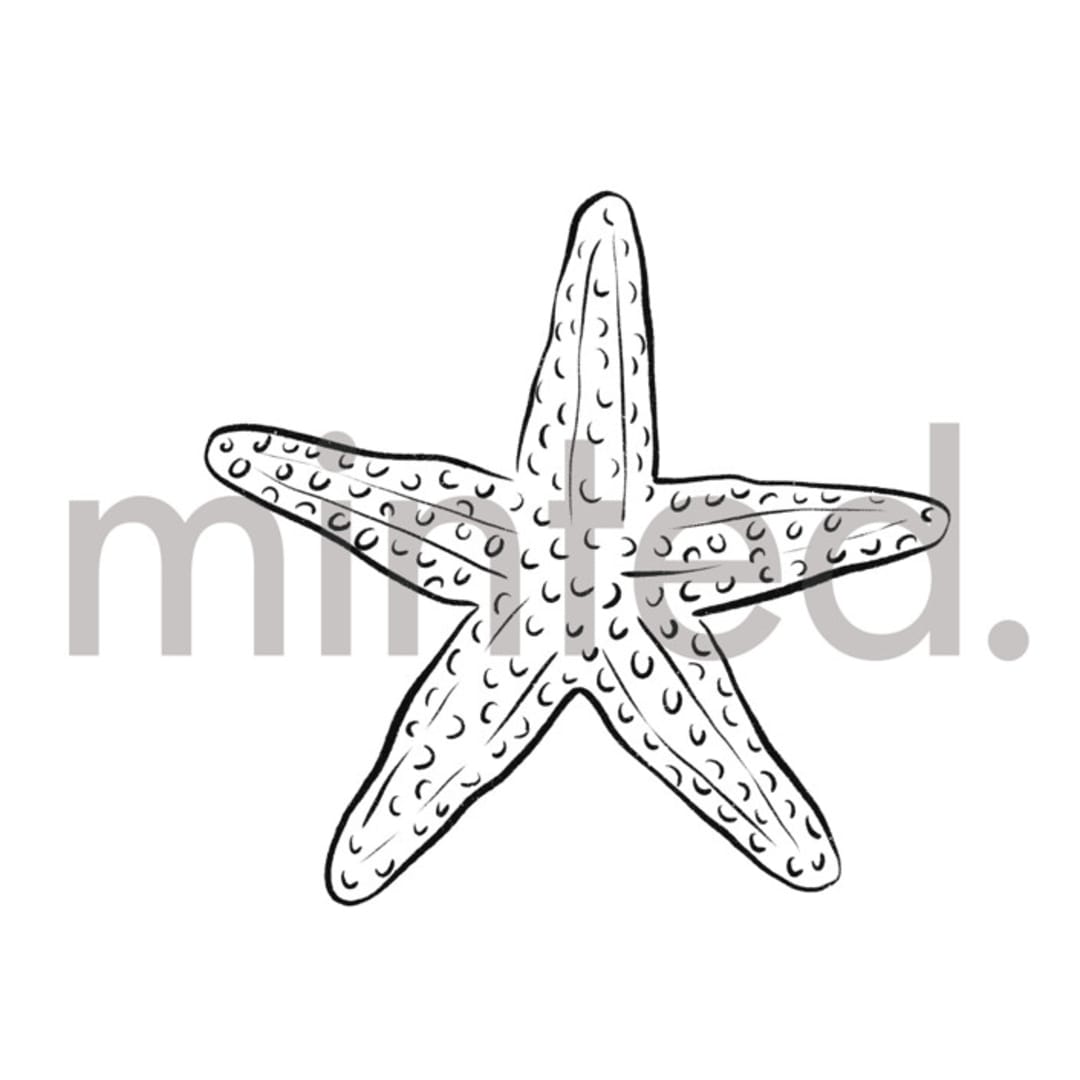 "Starfish" - Design Element in Shell by Shiny Penny Studio - Design Element