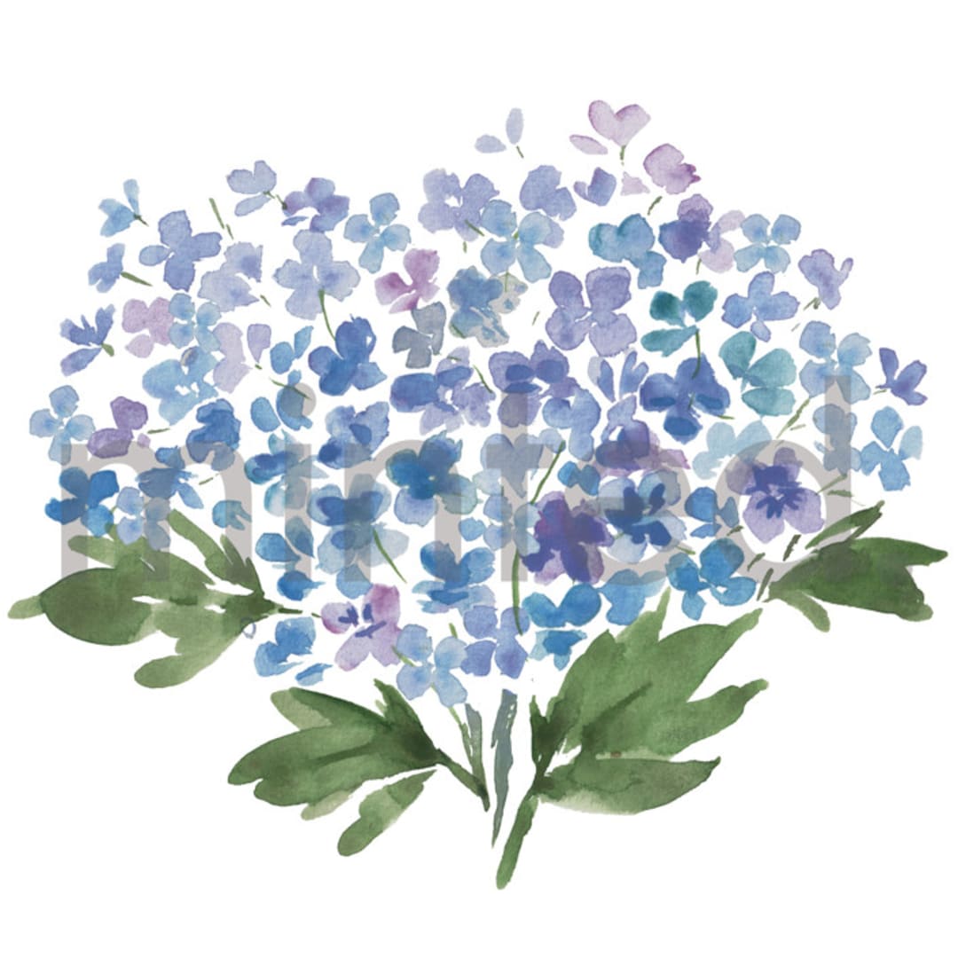 "Hydrangea" - Design Element in white by Itsy Belle Studio - Design Element