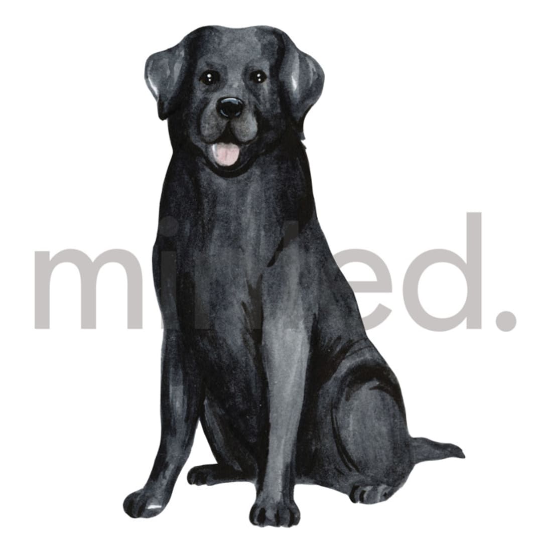 "Black Labrador" - Design Element in white by Sarah Knight - Design Element
