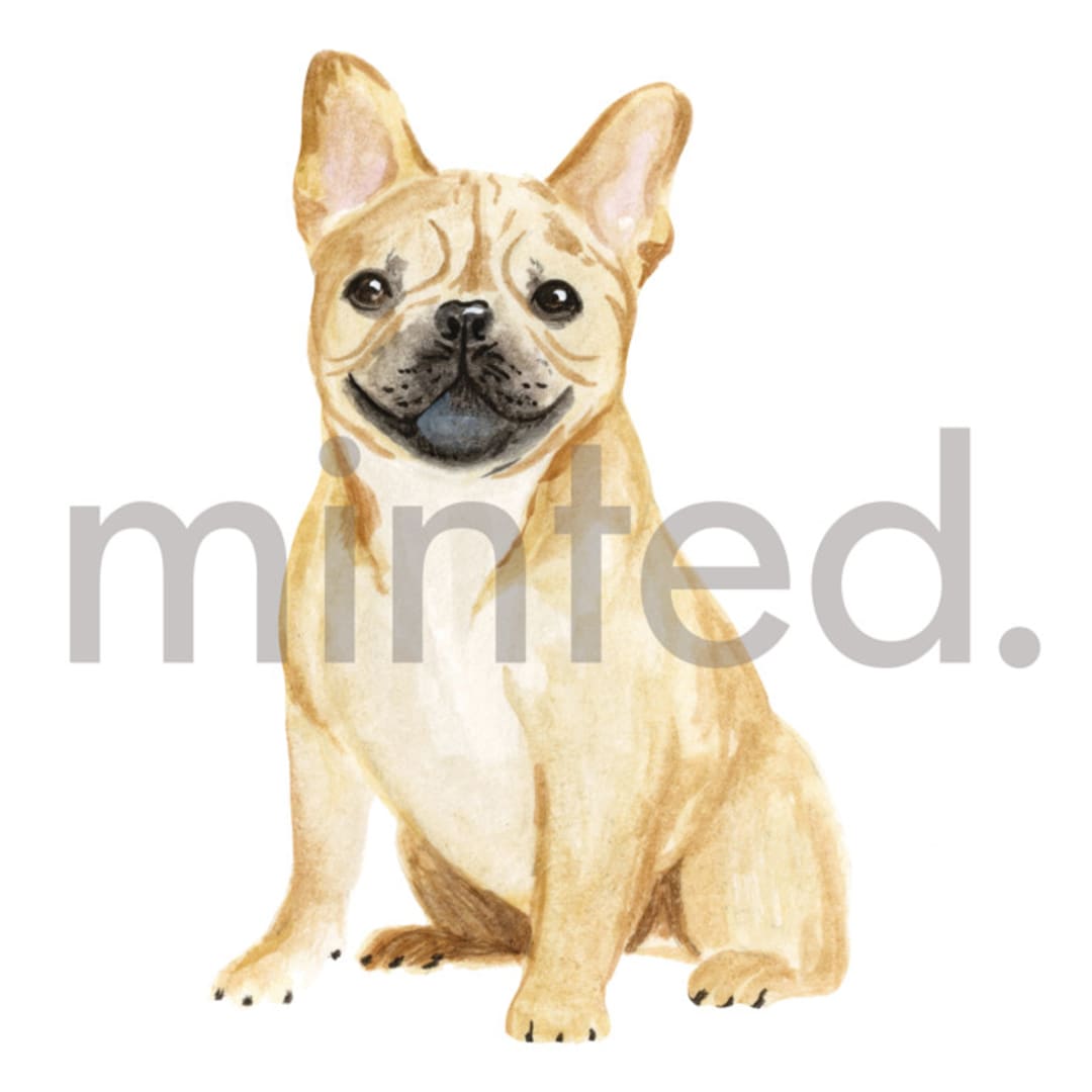 "French Bulldog" - Design Element in white by Sarah Knight - Design Element