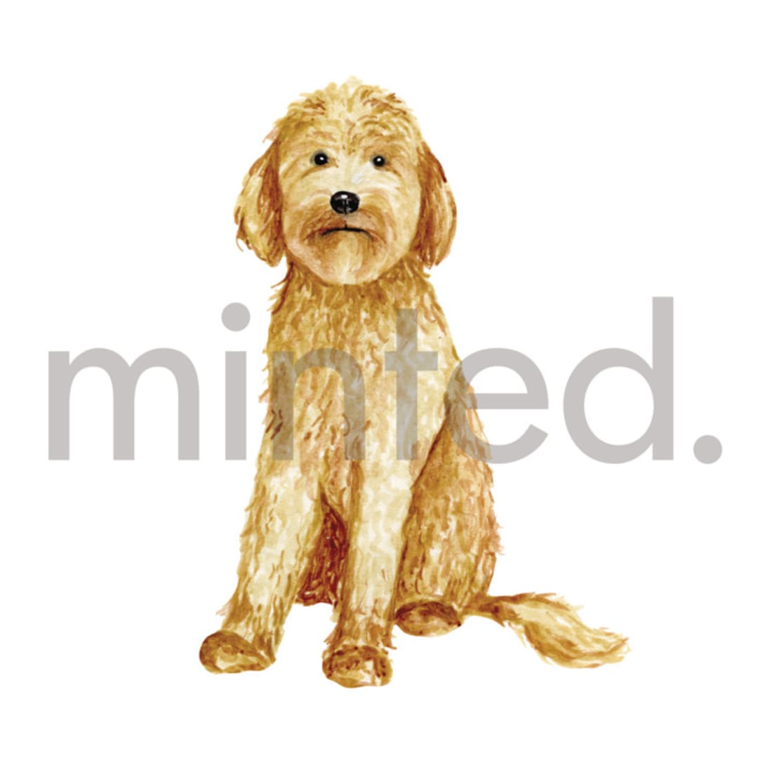 "Golden Doodle" - Design Element in white by Sarah Knight - Design Element
