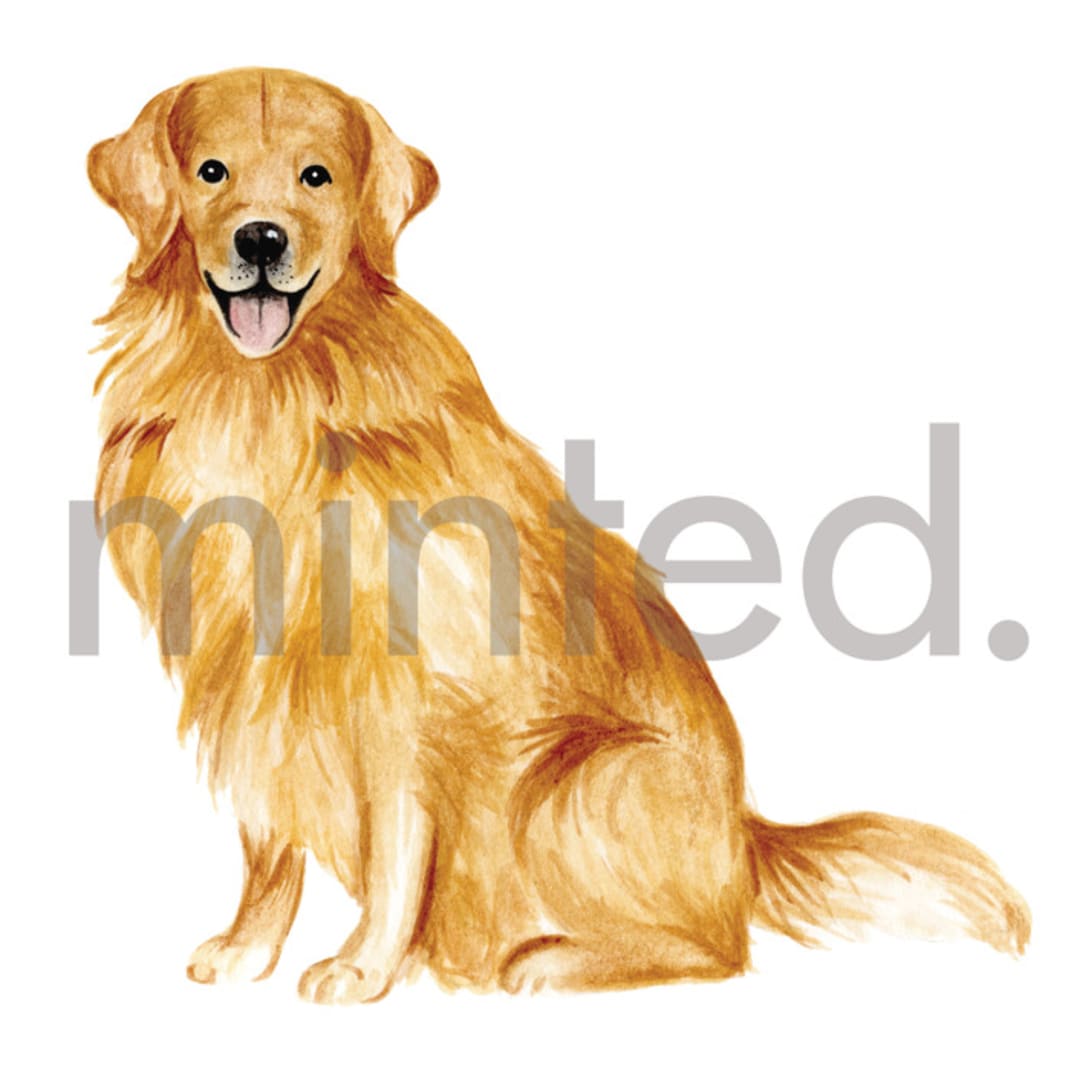 "Golden Retriever" - Design Element in white by Sarah Knight - Design Element