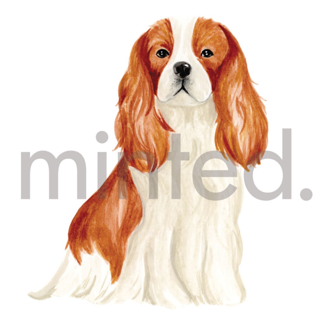 "King Charles" - Design Element in white by Sarah Knight - Design Element