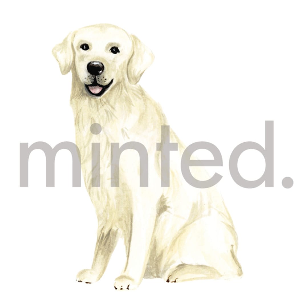 "Yellow Labrador" - Design Element in white by Sarah Knight - Design Element