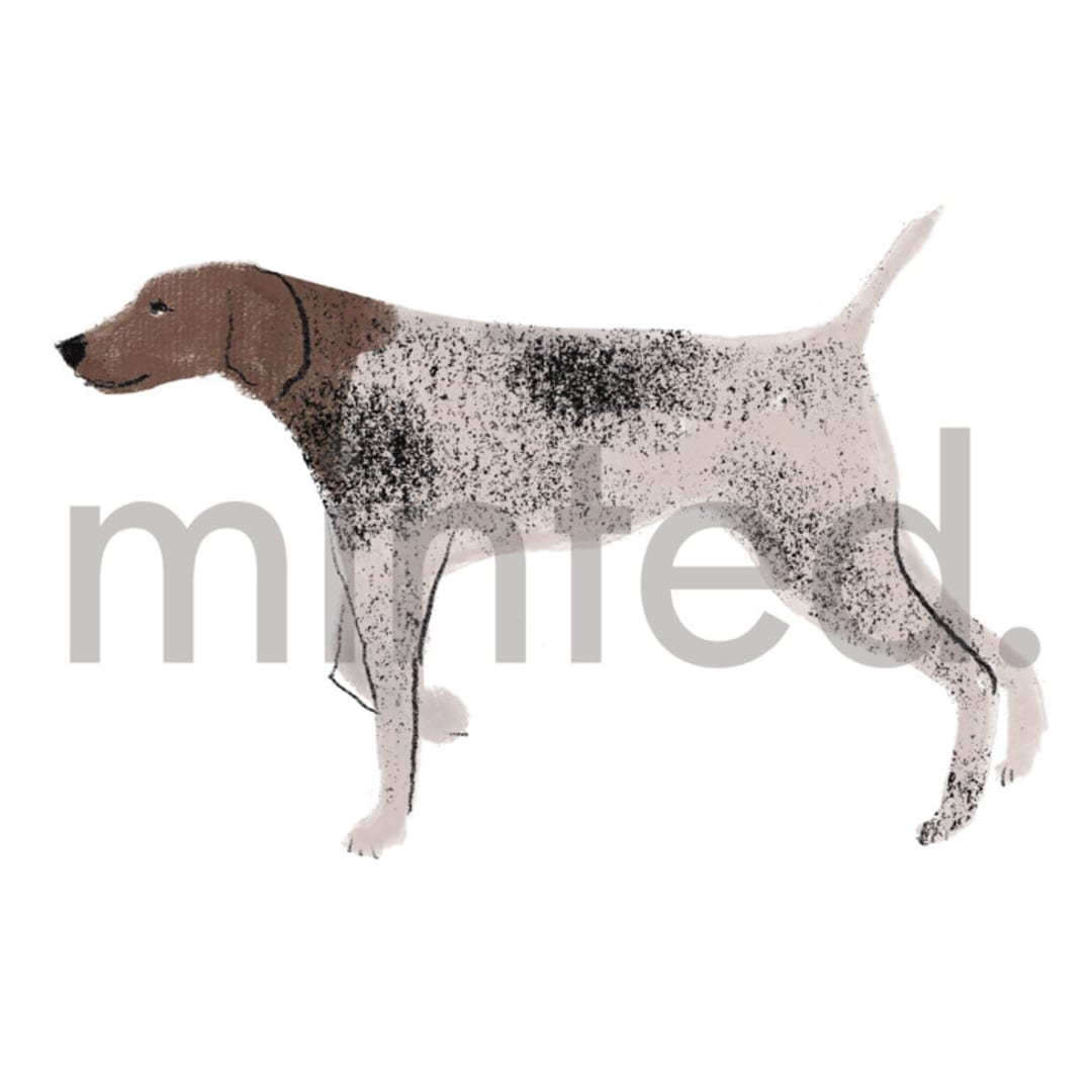 "German Shorthaired Pointer" - Design Element in white by Baumbirdy - Design Element