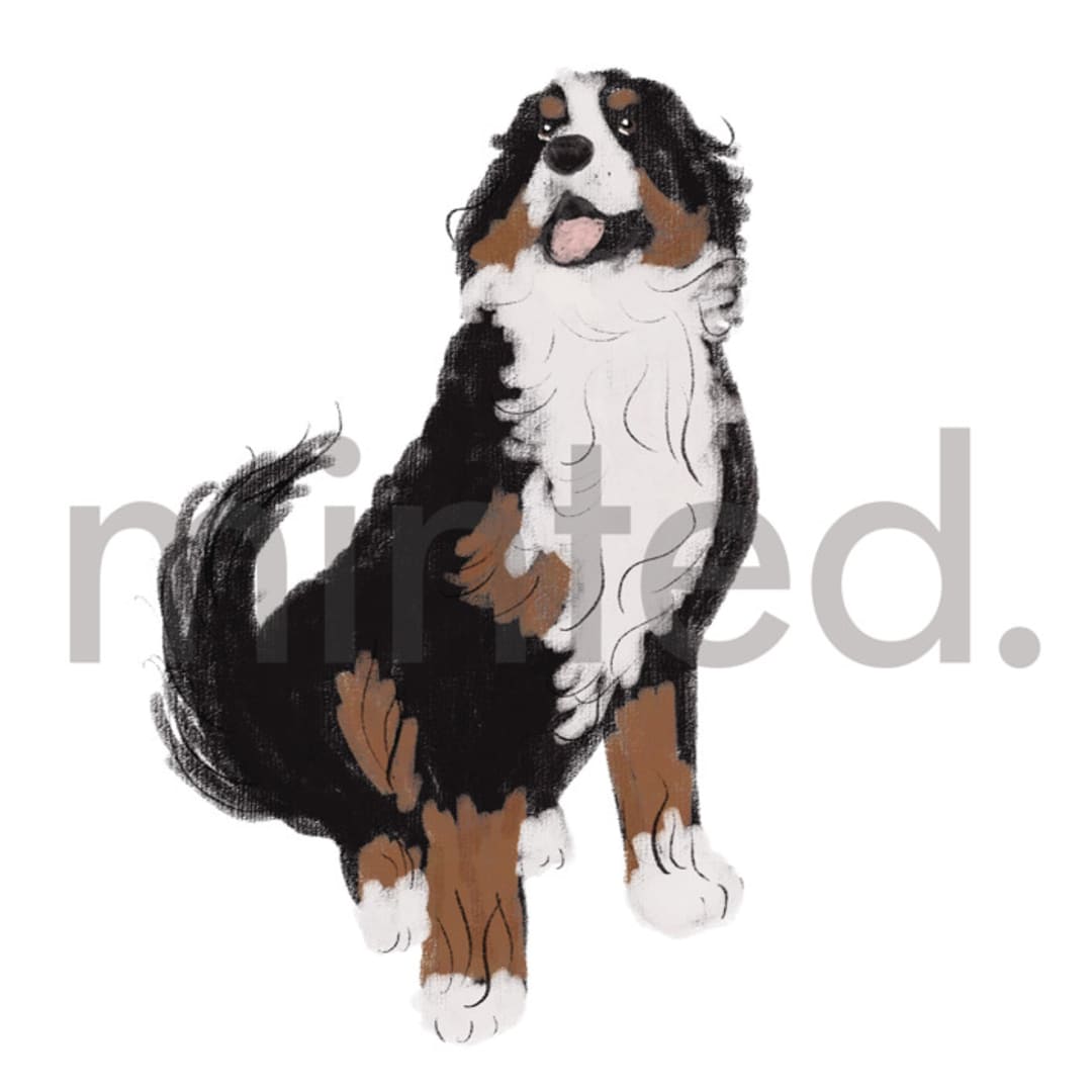 "Bernese Mountain Dog" - Design Element in white by Baumbirdy - Design Element