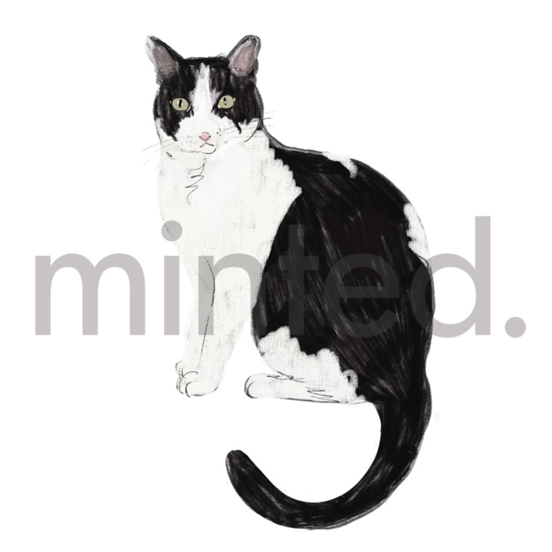 "Black & White Shorthair Cat" - Design Element in white by Baumbirdy - Design Element