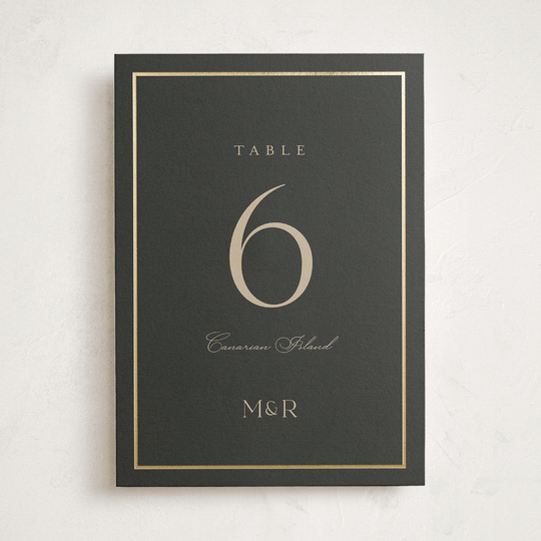 "Timeless Charm" - Foil-Pressed Party Table Numbers in Charcoal by Lucrecia Caporale - Front