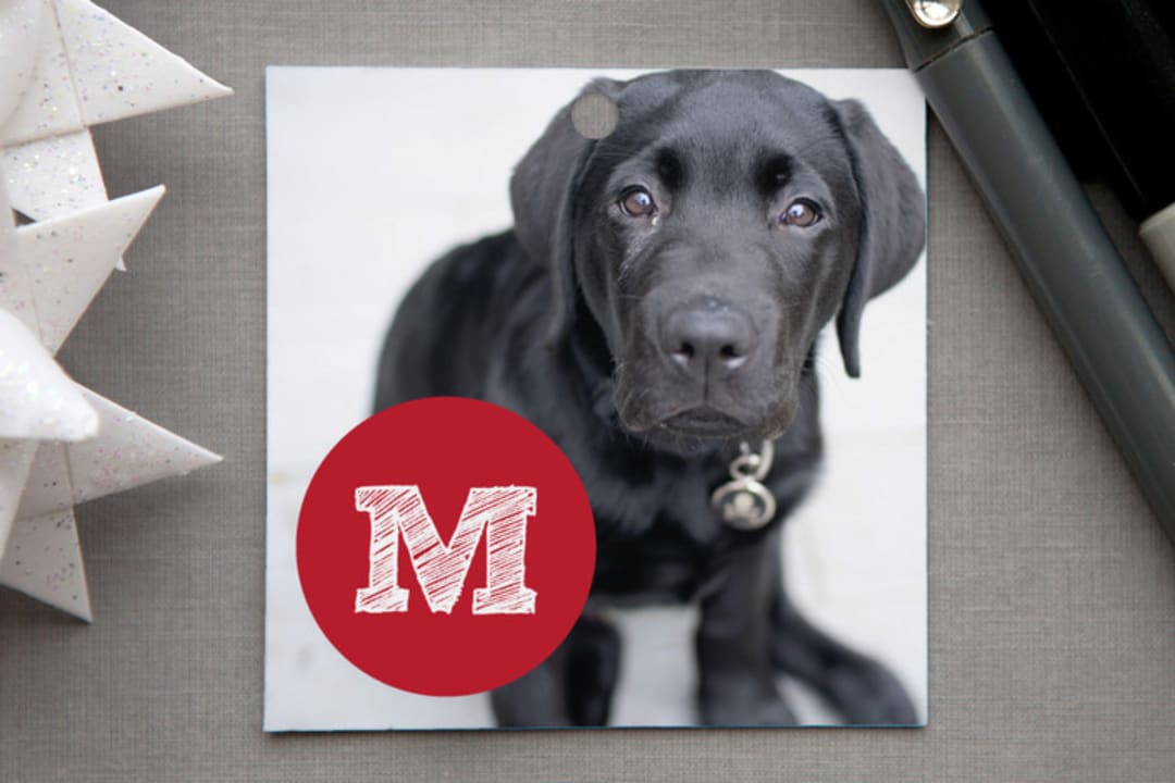 "Red Paw" - Gift Tags in Berry Red by Abby Munn - Front
