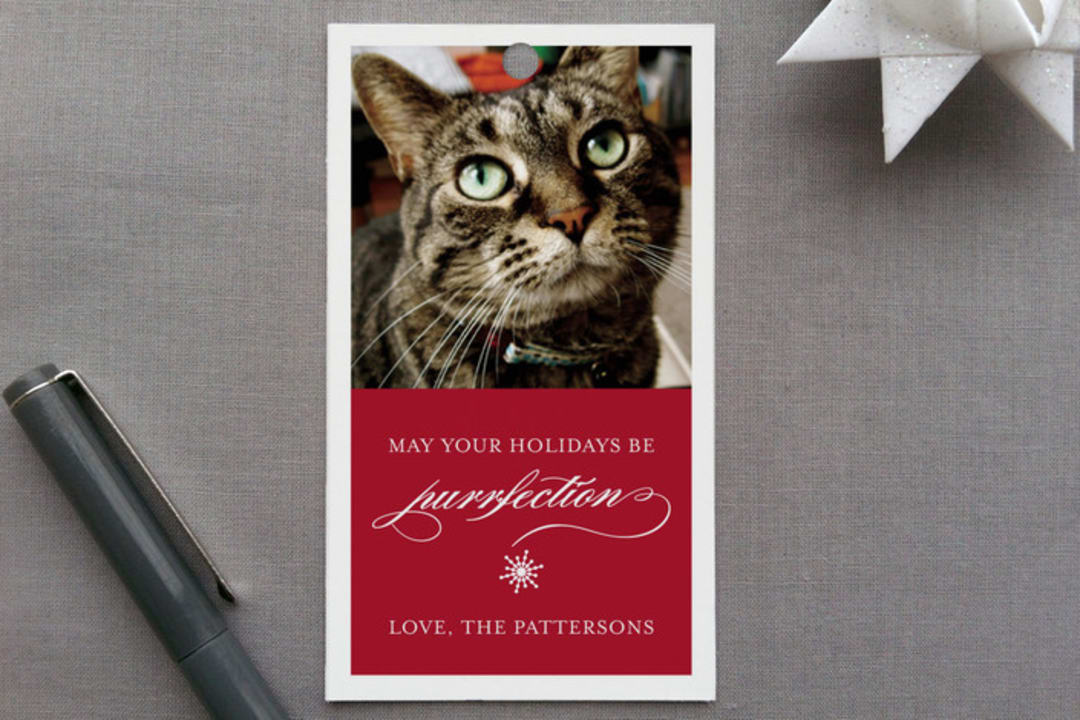 "Purrfection" - Gift Tags in Cranberry by Design Lotus - Front