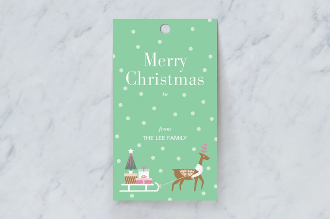 "Christmas Delivery" - Gift Tags in Mint by Chi Hey Lee - Front