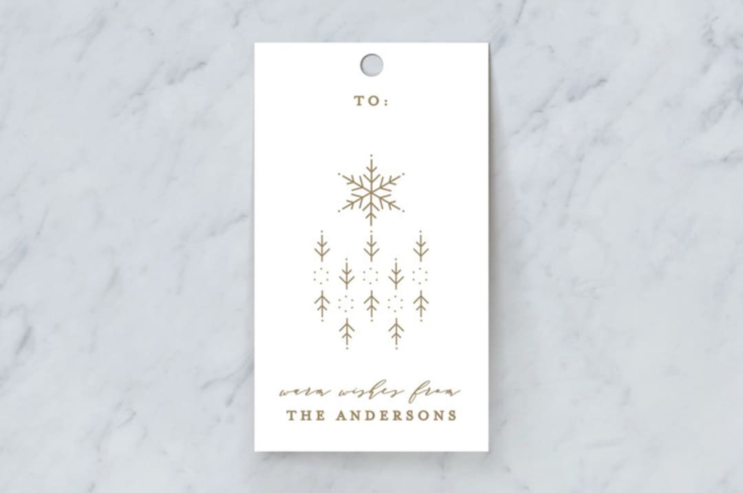 "Snowflake Scatter" - Gift Tags in Medallion by curiouszhi - Front
