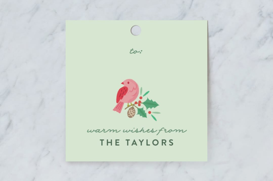 "Festive Winter Birds" - Gift Tags in Mint by curiouszhi - Front