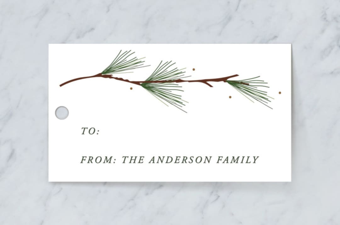 "Classic Tag" - Gift Tags in Forest by Susan Brown - Front