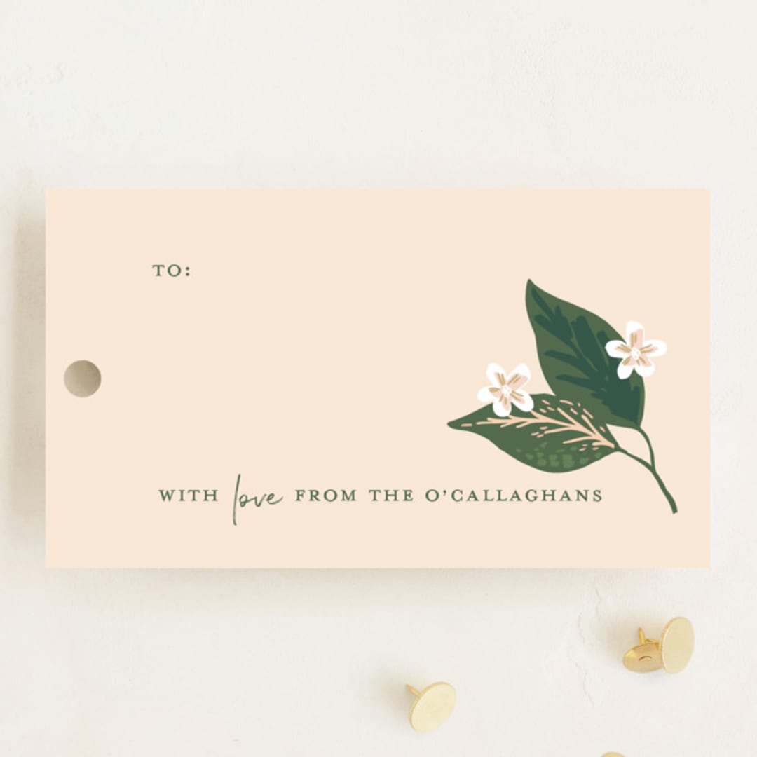 "Garden Rose Vine" - Gift Tags in Blush by Alethea and Ruth - Front