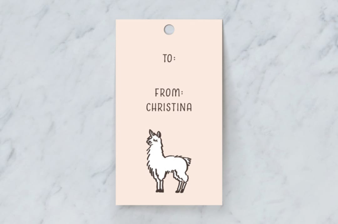 "Lima Line" - Gift Tags in Peach by Amy Kross - Front