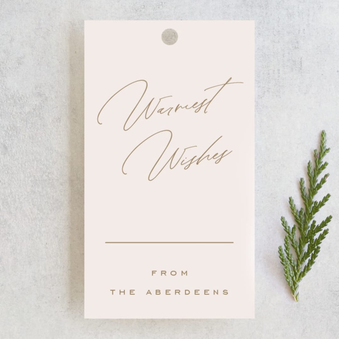 "Snow Flurries" - Gift Tags in Snow by Leah Bisch - Front