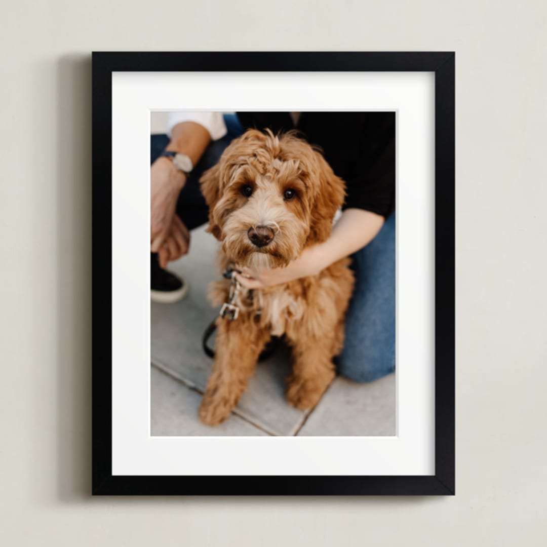 "8x10 Matted Black Framed Photo" - Matted Framed Photo in Black Frame by Minted - Front
